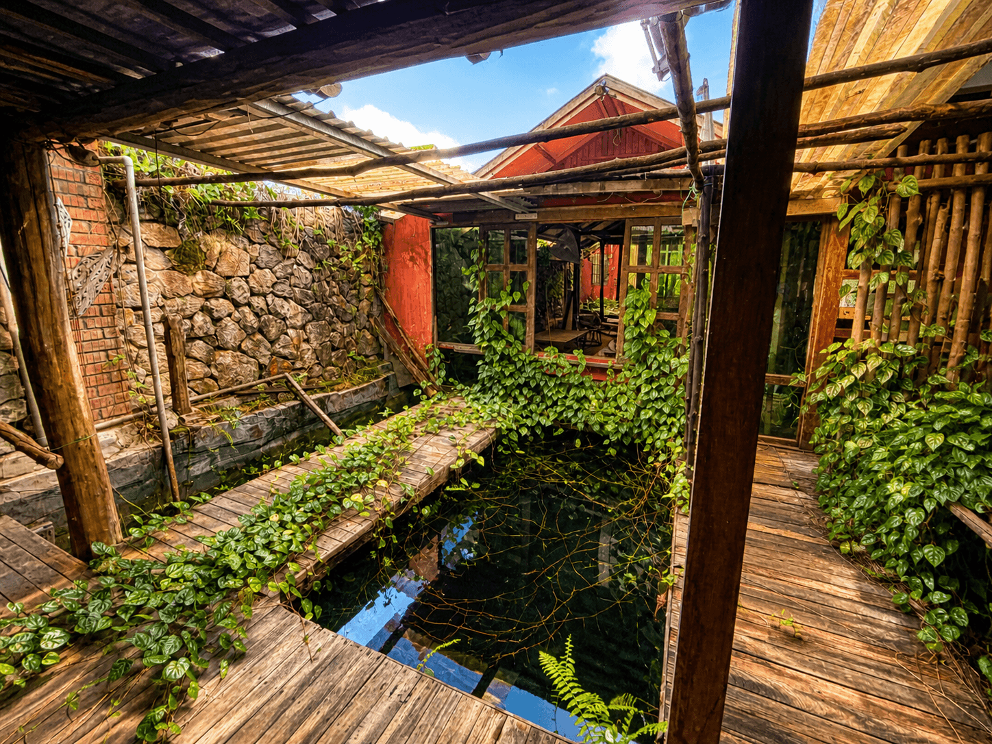 Cozy courtyard with water and vines